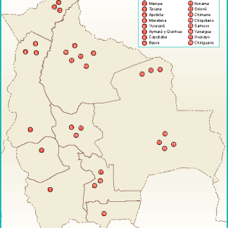 Bolivia mapa etnico