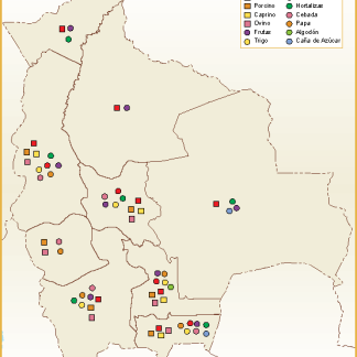 Bolivia mapa sector primario