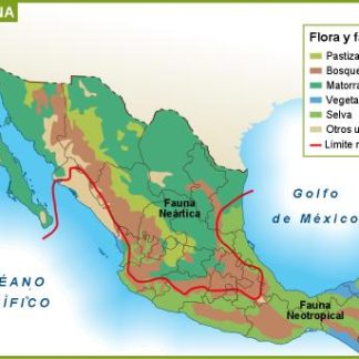 Mexico flora y fauna