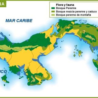 Panama flora y fauna